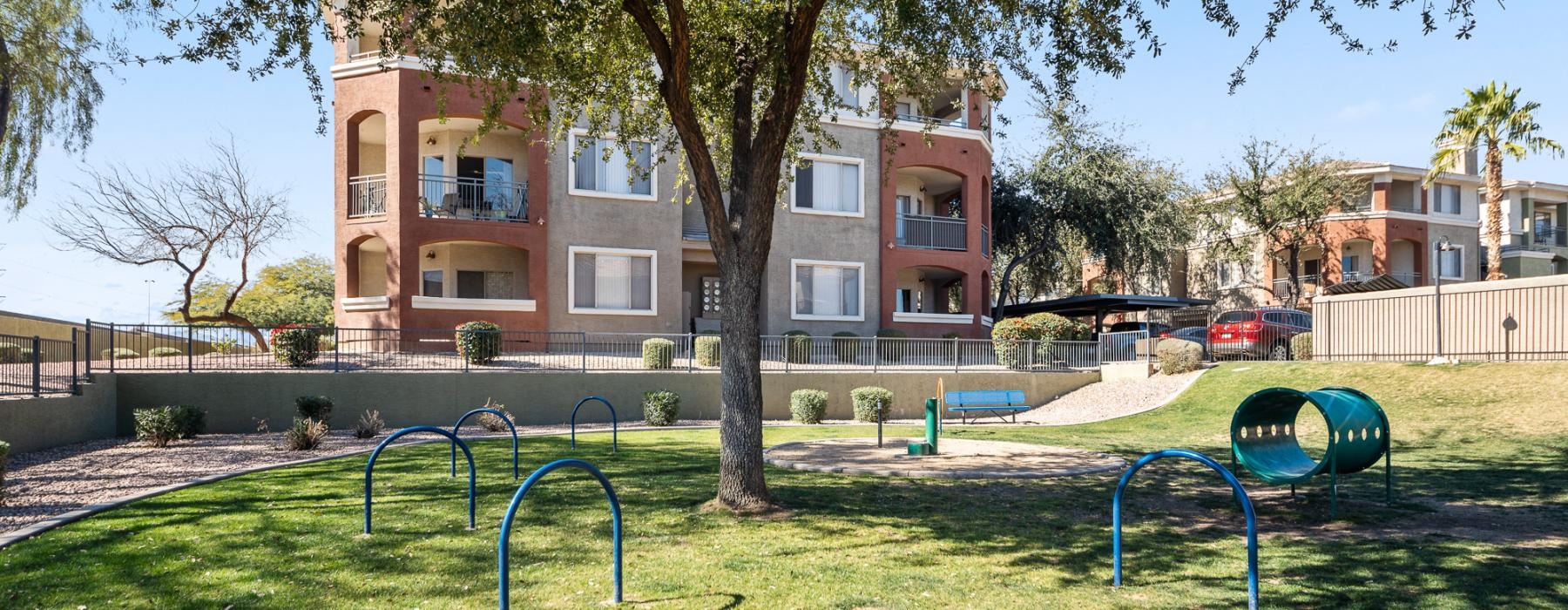 a dog park with a large tree